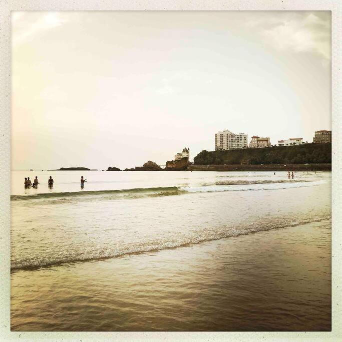 Apartamento Beaurivage. Chez Rodolphe Biarriz
